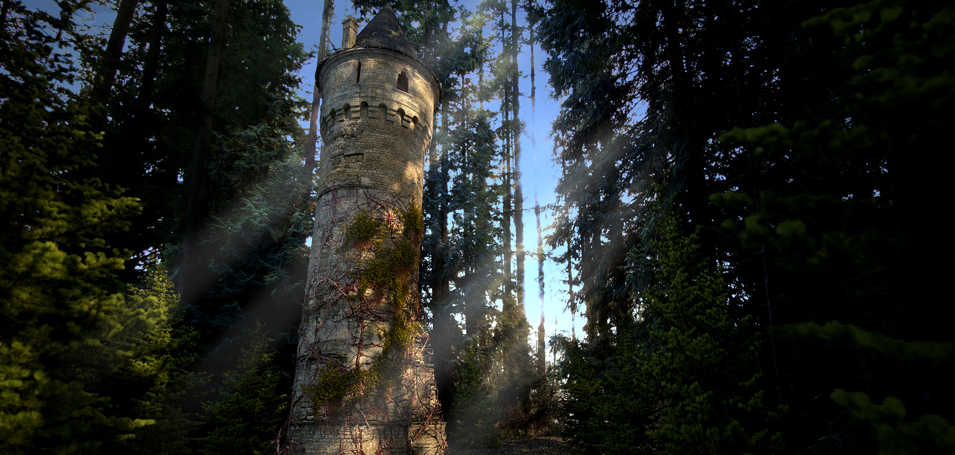 RAPUNZEL'S TOWER - Concept Illustration